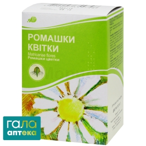 Ромашки квітки