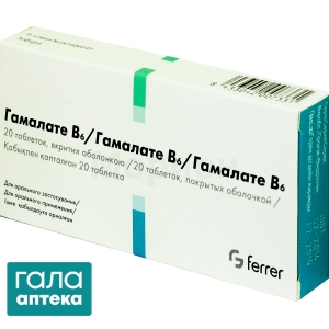 Гамалате В6
