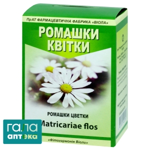 Ромашки цветки