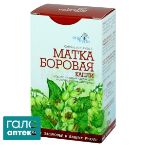 Боровая матка