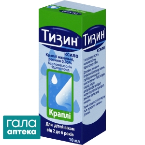 Тизин ксило