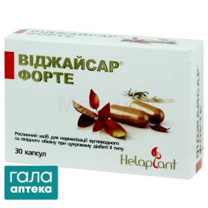 Виджайсар форте