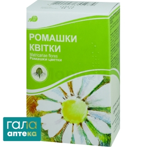 Ромашки цветки