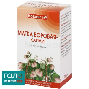 Борова матка