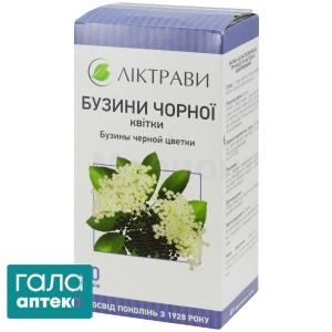 Бузина черная