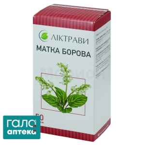 Боровая матка