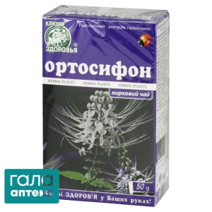 Ортосифон