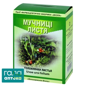 Толокнянки листья