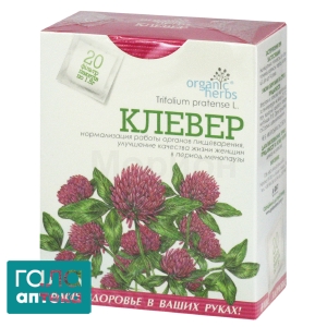 Конюшина лучна