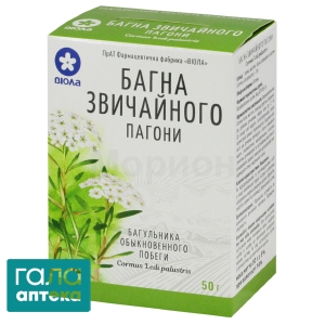 Багульника болотного побеги