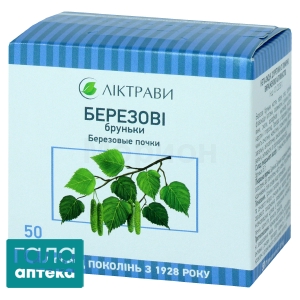 Березовые почки