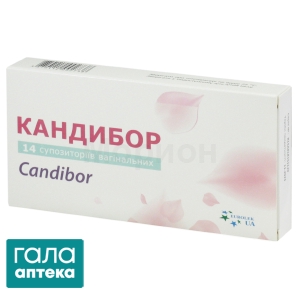 Кандибор