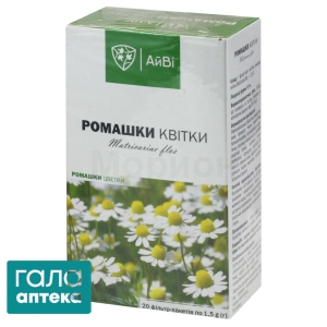 Ромашки цветки