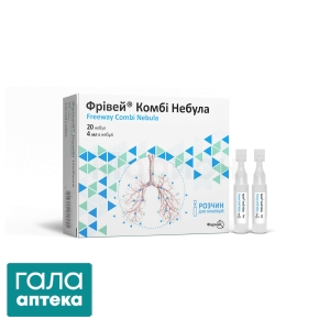 Фрівей Комбі Небула